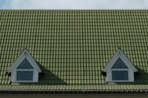 andrej lisakov vska6gztwm unsplash