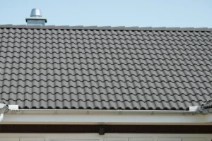 georg d wj3wbovtrwu unsplash